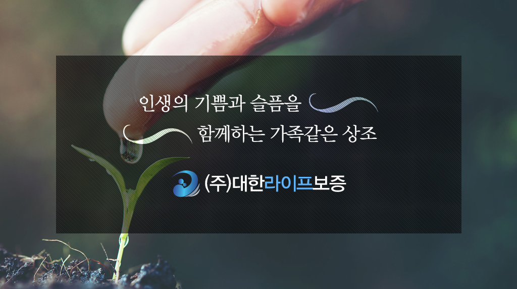 대한라이프보증